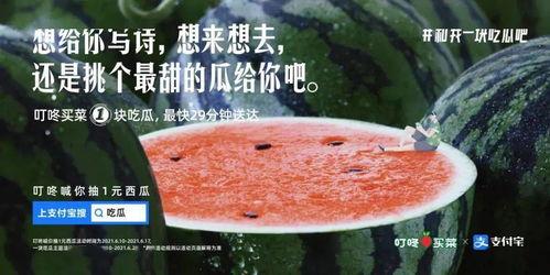 单纯吃瓜文案,揭秘那些让人捧腹的吃瓜瞬间