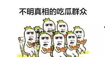 吃瓜群众正在吃瓜的图片,吃瓜群众欢乐多