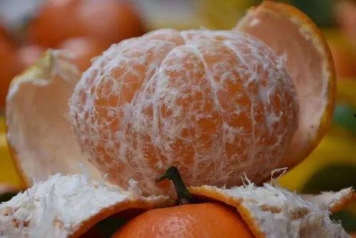 吃瓜脑子吃出泡来了,吃出泡来的神奇体验