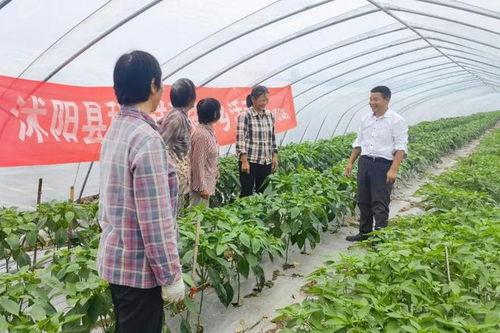 沭阳最新吃瓜事件,揭秘背后惊人真相