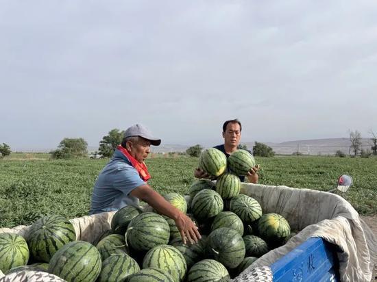 一鸣吃瓜,揭秘娱乐圈的甜蜜与苦涩