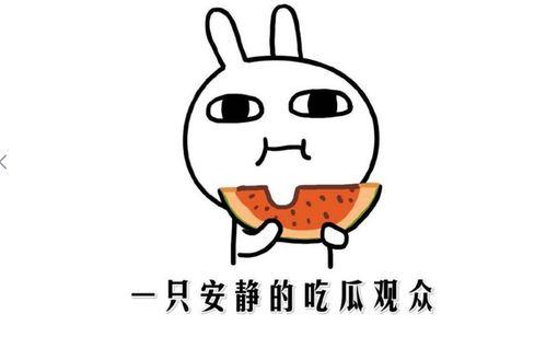 吃瓜群众的观察,吃瓜群众眼中的明星幕后故事