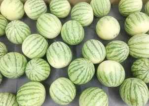 吃瓜真实国外,揭秘国际社会中的热点追踪与舆论风向