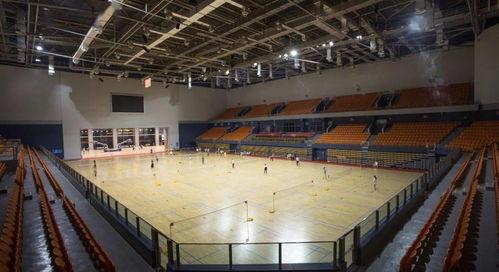 靖江体育馆吃瓜,揭秘现场实况与网友热议