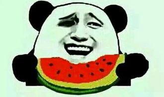 坐等吃瓜抠鼻子,抠鼻子间的闲适生活