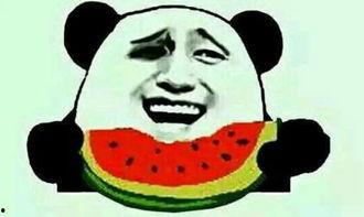 坐等吃瓜抠鼻子,抠鼻子间的闲适生活