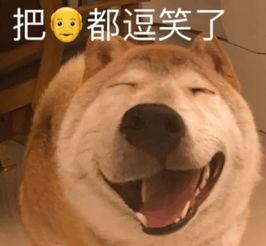 背刺哥吃瓜,揭秘娱乐圈背后的惊人真相