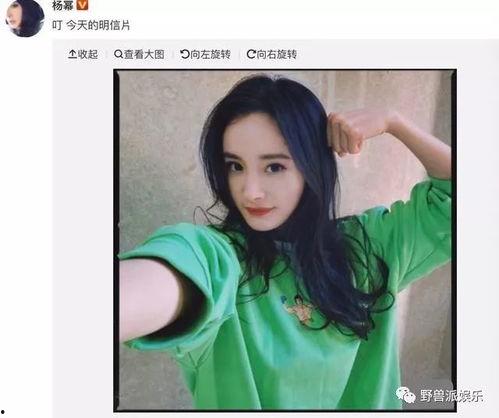明星吃瓜在哪个网站,揭秘热门网站上的娱乐圈幕后故事