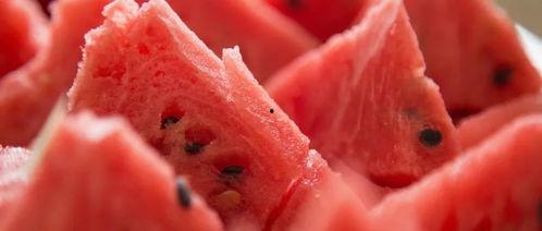 吃瓜蛋白,探索新型生物材料的神奇力量