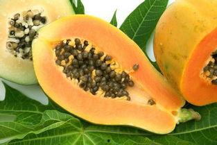 吃瓜吃熟透的好吗视频,揭秘“吃瓜吃熟透”视频背后的趣味与思考