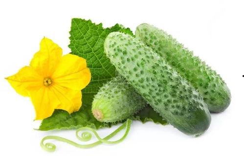 吃瓜系统陆千千