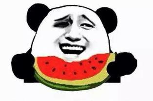 吃小白瓜图片搞笑,小白瓜的“搞笑变身记”