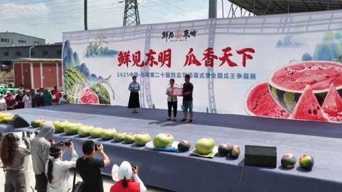 全国吃瓜大赛冠军