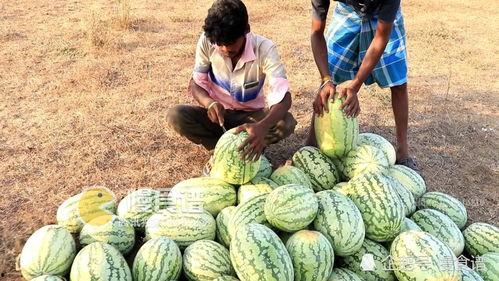 网友吃瓜合集,盘点娱乐圈那些年我们追过的热点事件