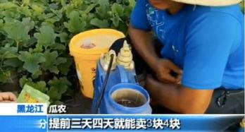 快穿嘎嘎吃瓜 免费