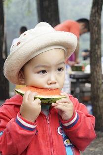 像素范儿吃瓜,揭秘吃瓜群众的网络狂欢