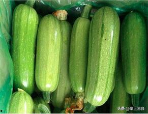 福寿瓜怎么调着吃,创意调食指南